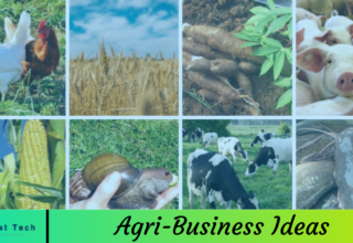 Agri-Business Ideas