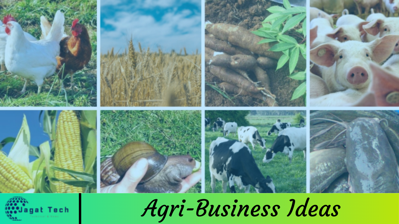 Agri-Business Ideas