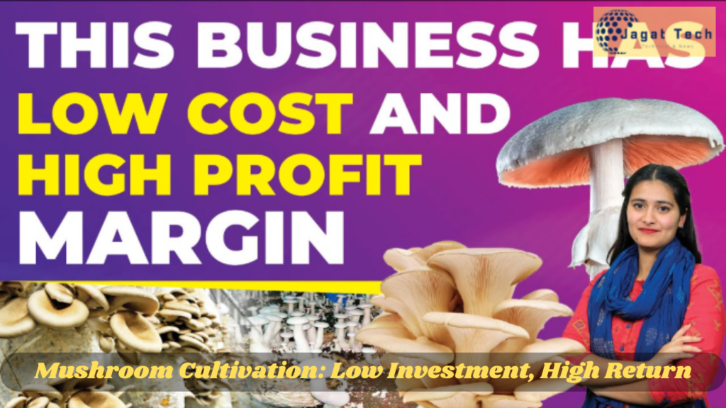 Mushroom Cultivation Low Investment, High Return