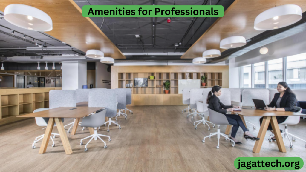 Amenities for Professionals