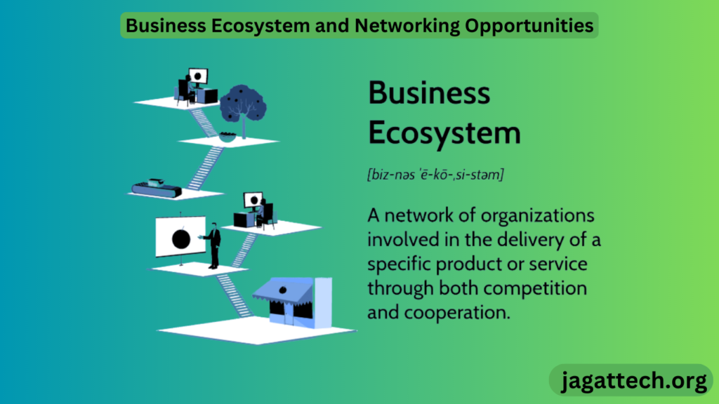 Business Ecosystem and Networking Opportunities